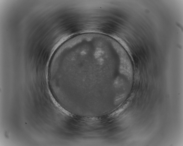 X0000098000957200804141203