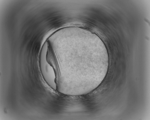 X0000098000960200804141203
