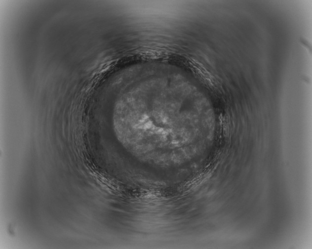X0000098000961200804141203