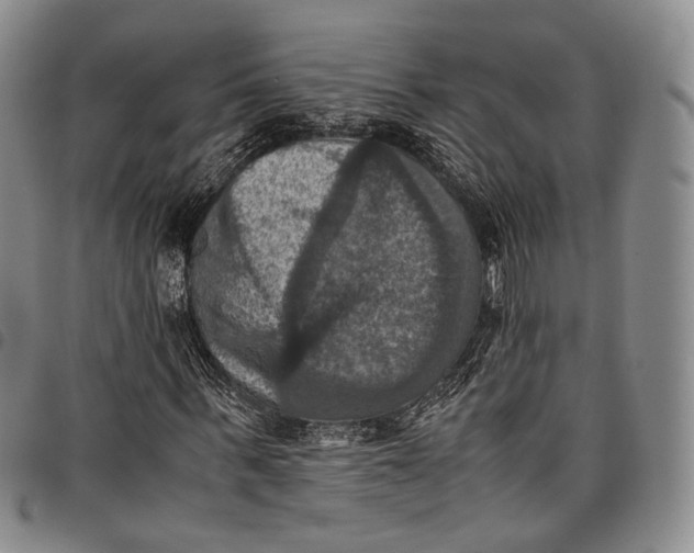 X0000098000963200804141203