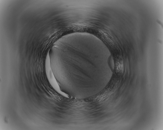 X0000098000964200804141203