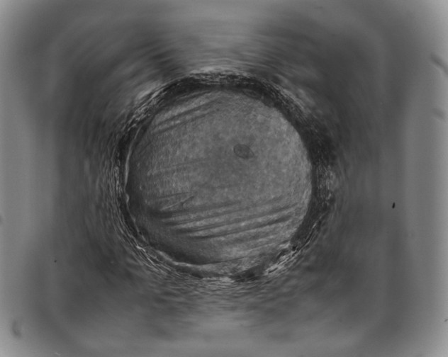 X0000098000965200804141203