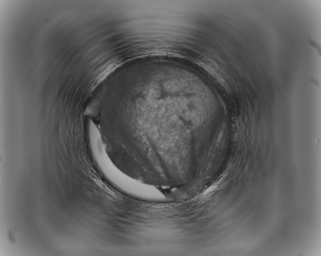 X0000098000969200804141203