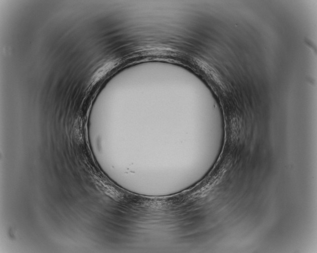 X0000098000970200804141202