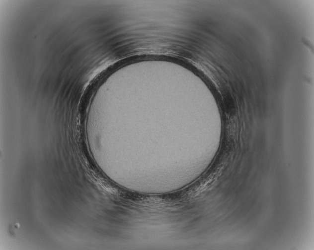 X0000098000971200804141202