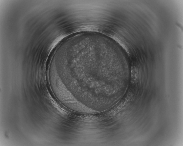 X0000098000972200804141202