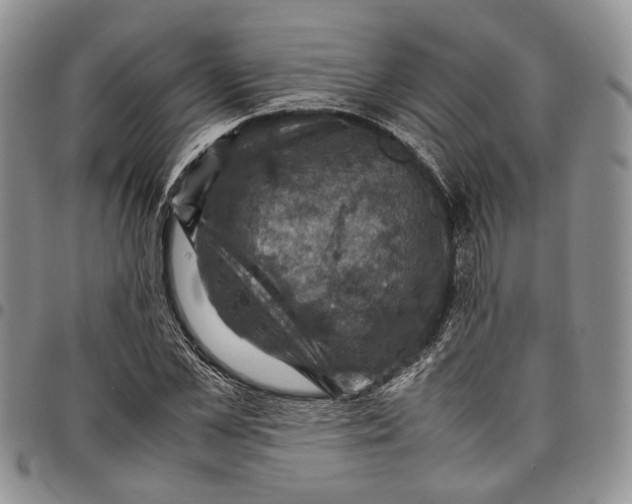 X0000098000973200804141202
