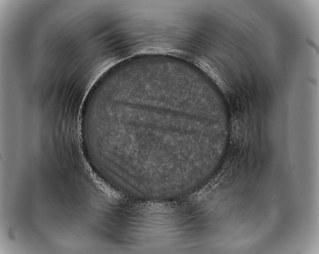 X0000098000976200804141202