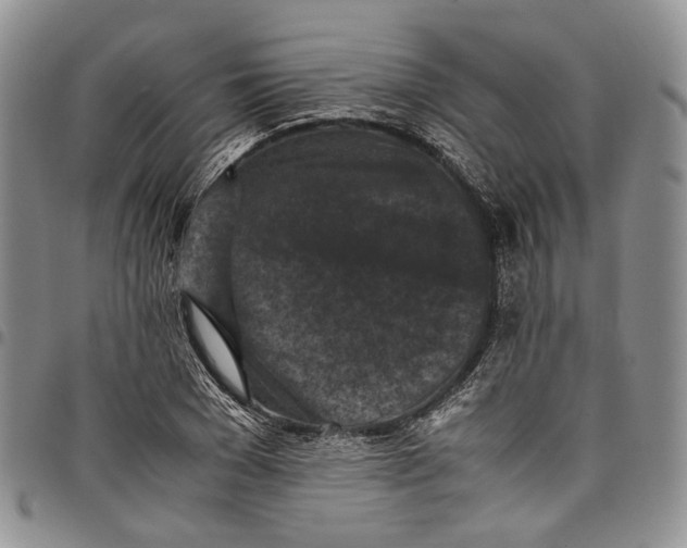 X0000098000977200804141202