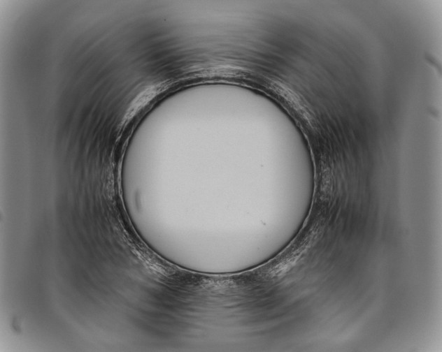 X0000098000978200804141202