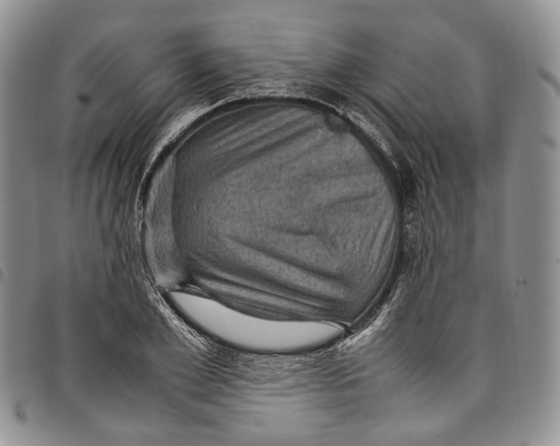 X0000098000981200804141202