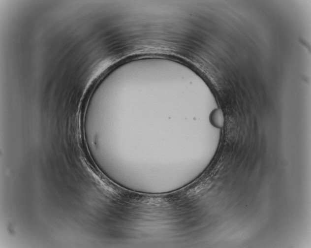 X0000098000982200804141202
