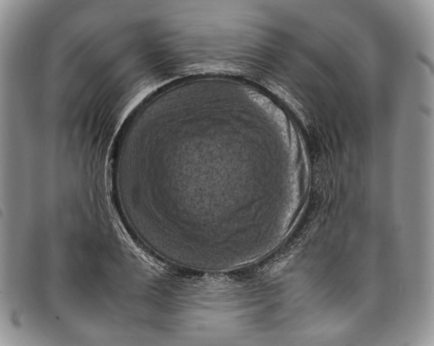 X0000098000983200804141202