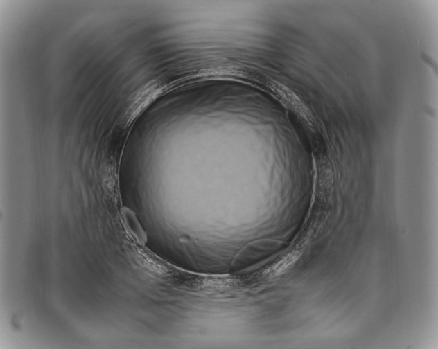 X0000098000985200804141202