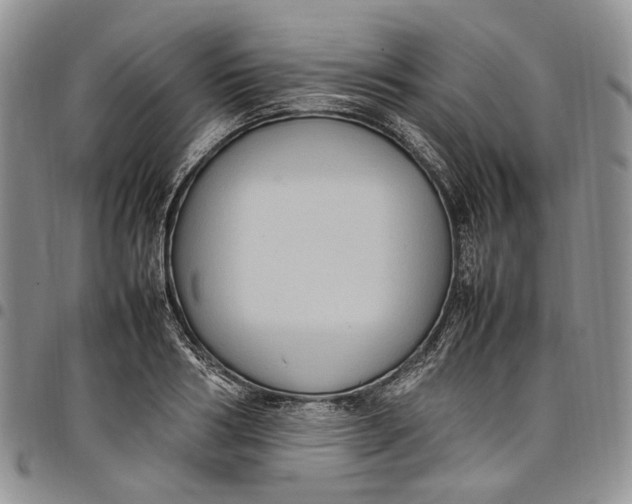 X0000098000986200804141202