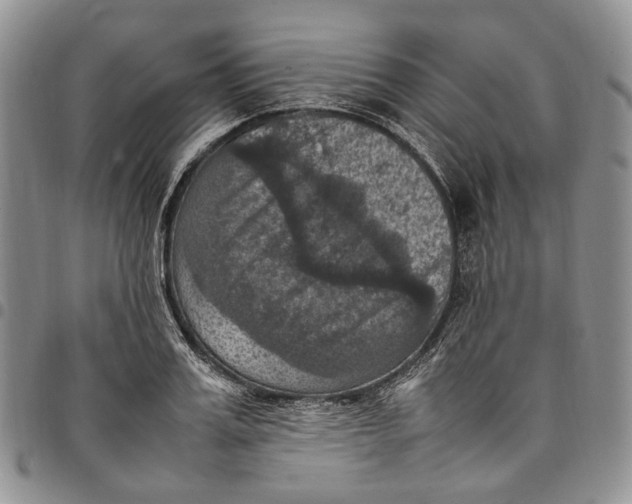 X0000098000987200804141202