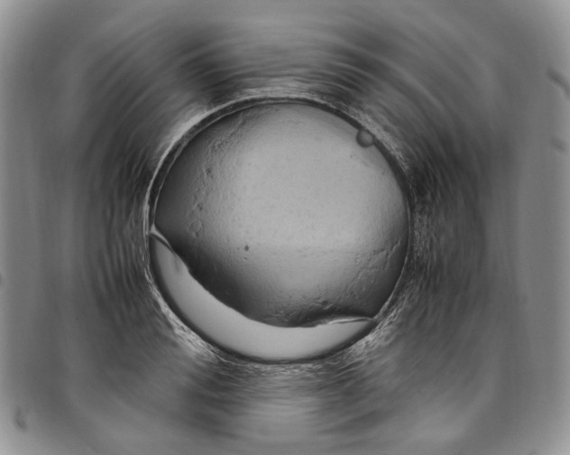 X0000098000988200804141202