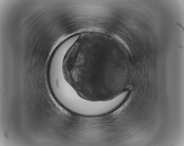 X0000098000989200804141202