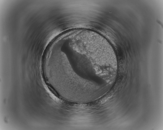 X0000098000991200804141202