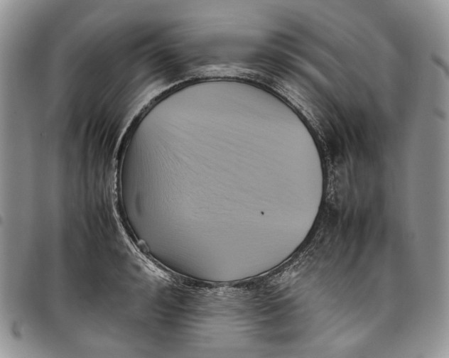 X0000098000992200804141202