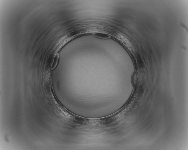 X0000098000993200804141202