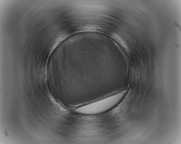 X0000098000994200804141202