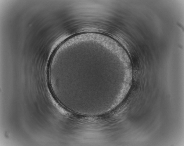 X0000098000995200804141202