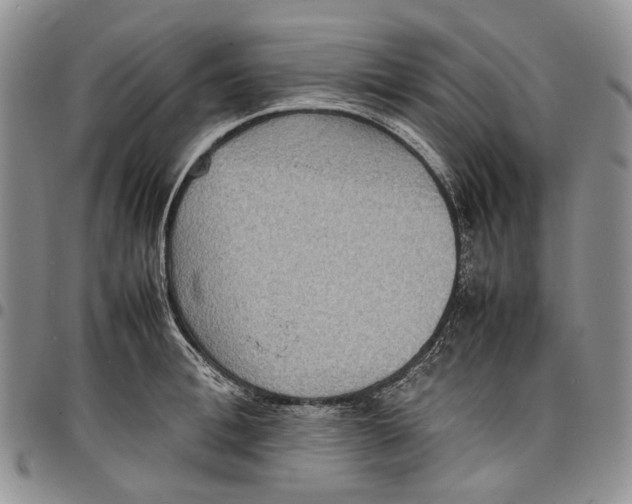 X0000098000996200804141202