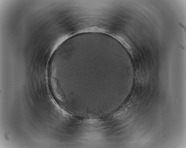 X0000098000998200804141202