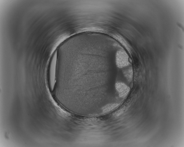 X0000098000999200804141202