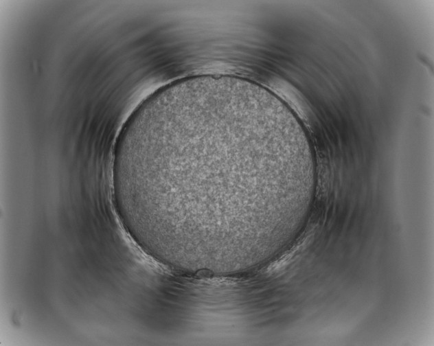 X0000098001000200804141202