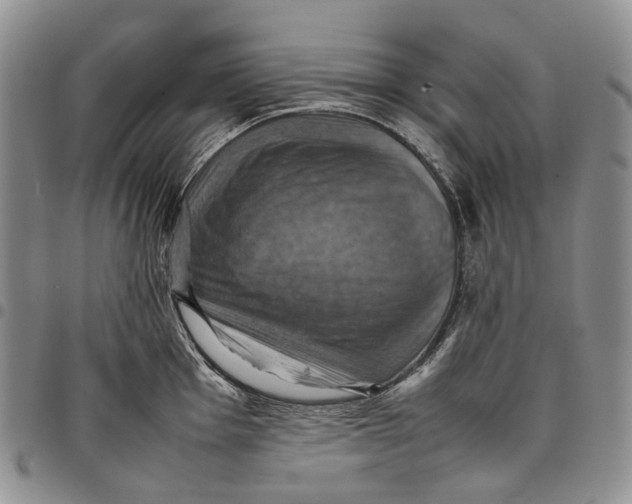 X0000098001001200804141202