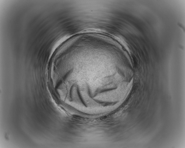 X0000098001003200804141202