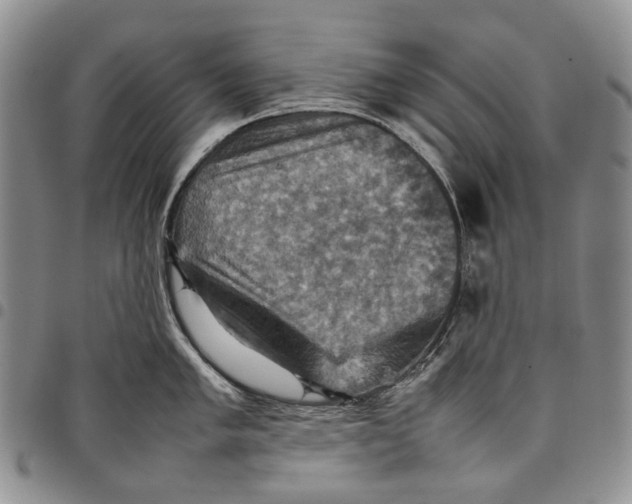 X0000098001005200804141202