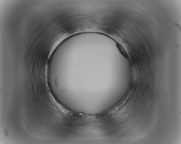 X0000098001006200804141202