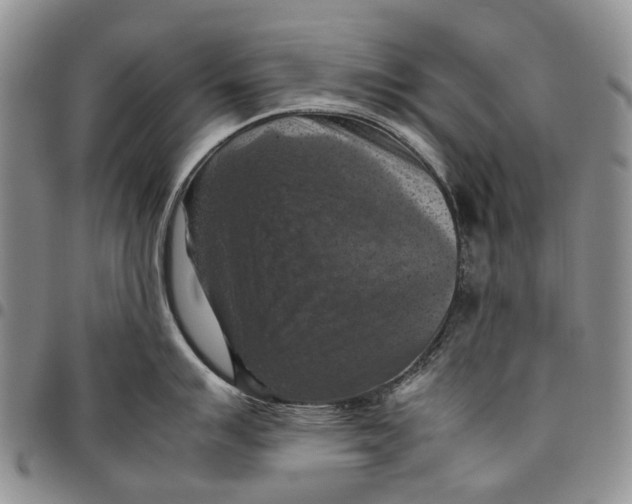 X0000098001007200804141202
