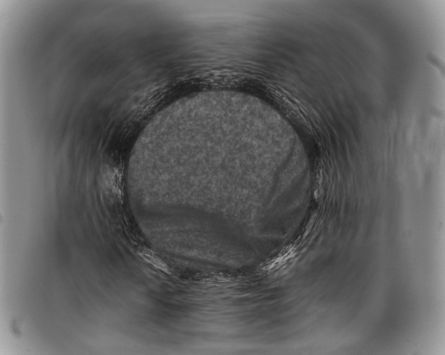 X0000098001010200804141201