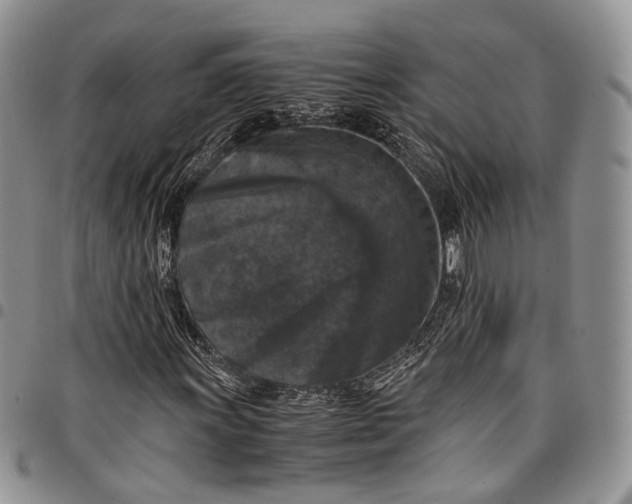 X0000098001011200804141201