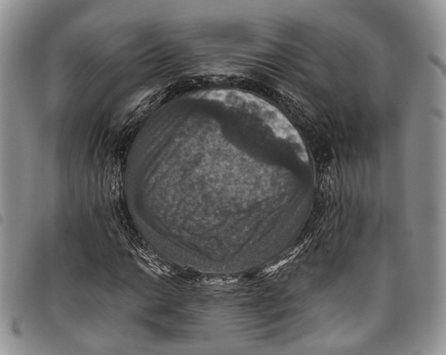 X0000098001014200804141201
