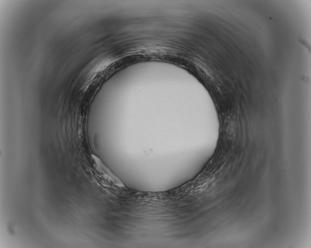 X0000098001016200804141201