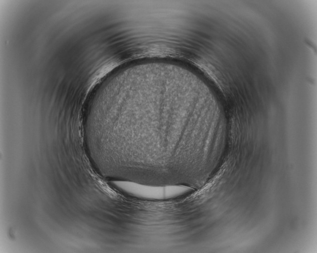 X0000098001018200804141201
