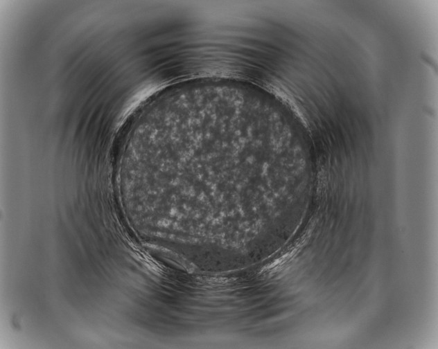 X0000098001019200804141201