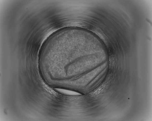 X0000098001020200804141201