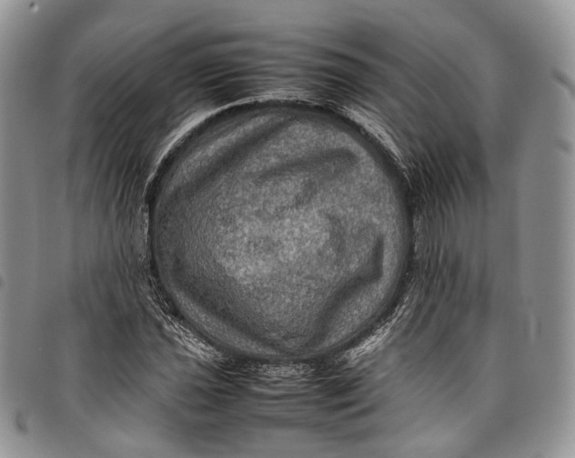 X0000098001021200804141201