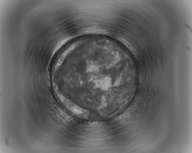 X0000098001022200804141201