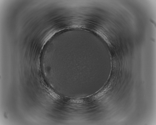 X0000098001023200804141201