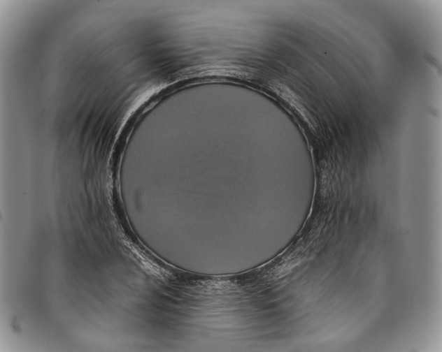 X0000098001024200804141201
