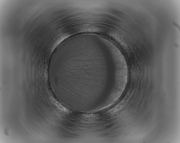 X0000098001025200804141201