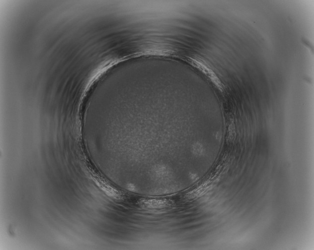 X0000098001027200804141201