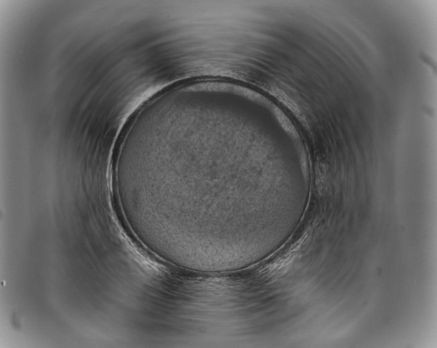 X0000098001028200804141202